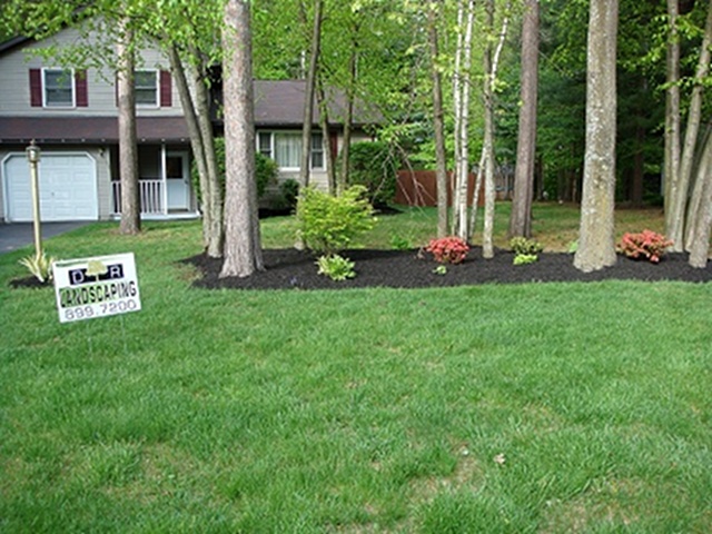 Tree Island Landscaping