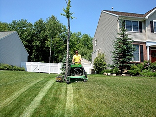 Expert Lawn Care