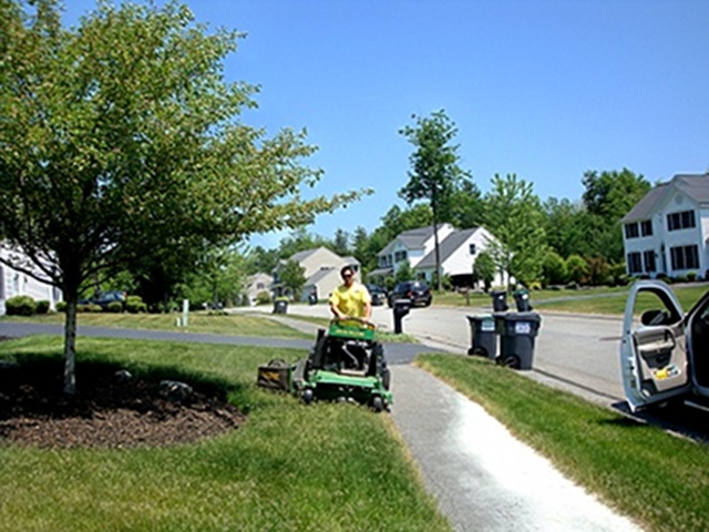 Expert Lawn Maintenance