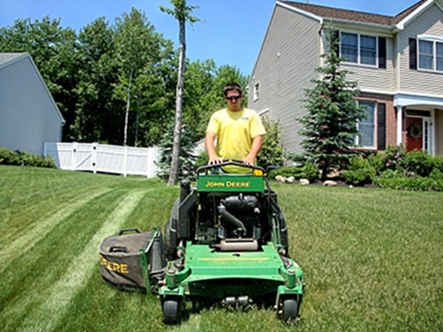 Lawn and Grass maintenance
