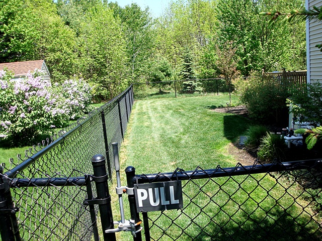 The Care and Feeding of Grassy Lawns