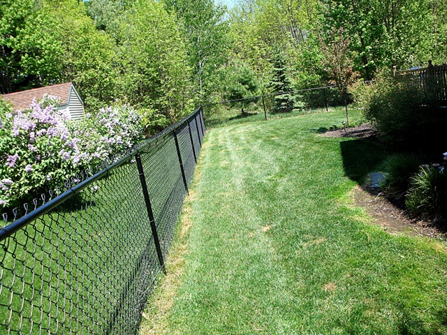 Beautiful Lawn