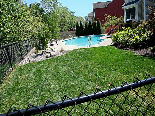 Manicured Lawn Care