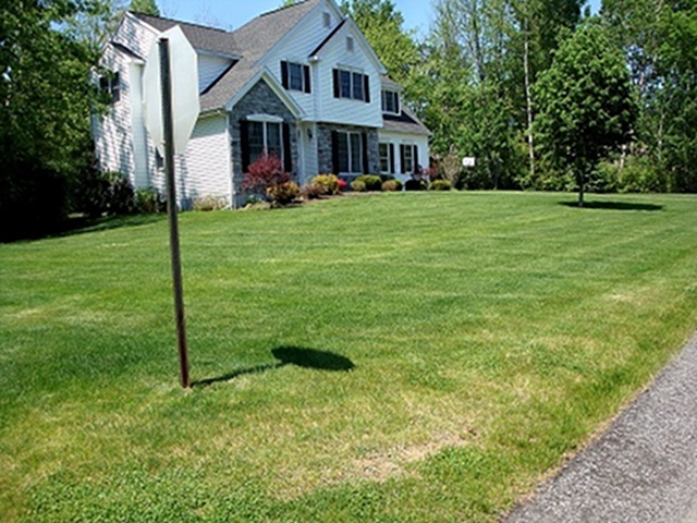 Lawn Mowing Right