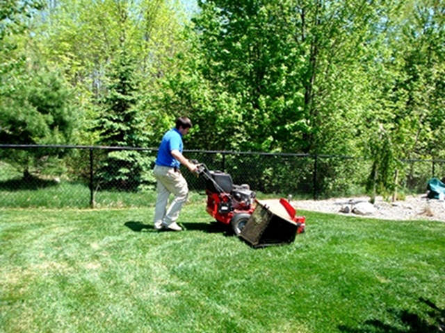 Dominic Mowing