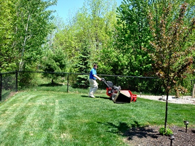 Dominic Refino Mowing