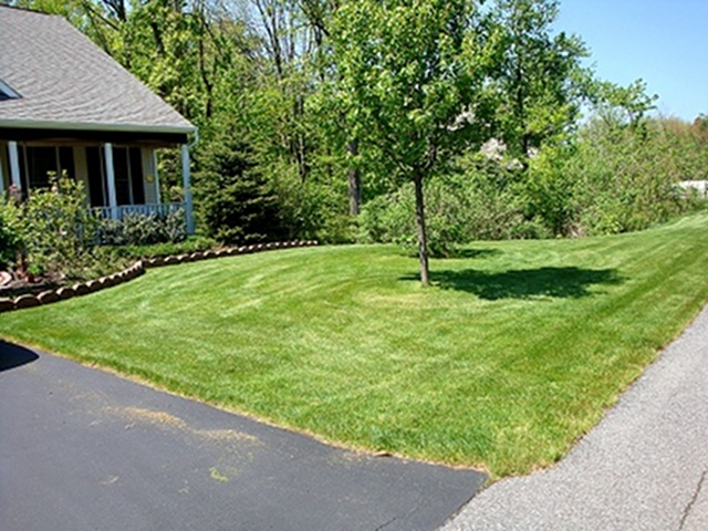 Lawn Mowing Service