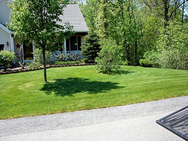 Lawn Care Service