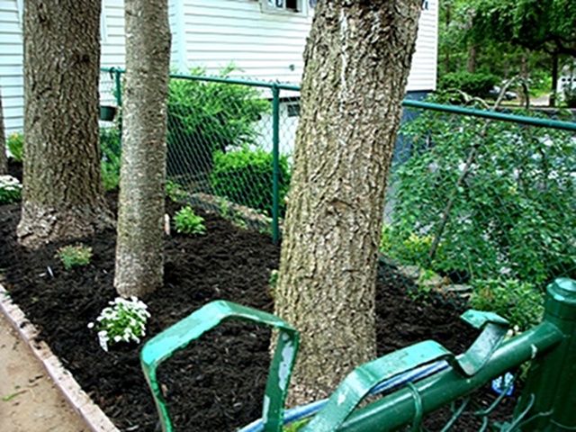 Driveway Mulching