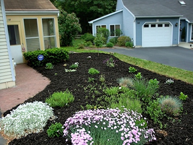 Landscaping D & R Lawn