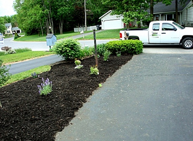 Planted Drive