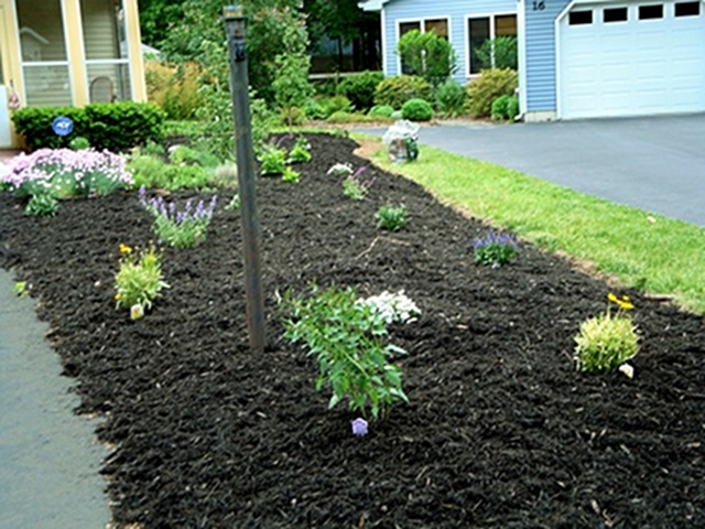 Yard Improvement