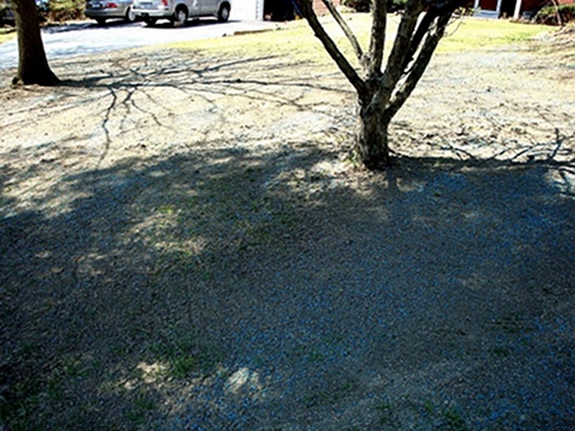 Unfinished Lawn