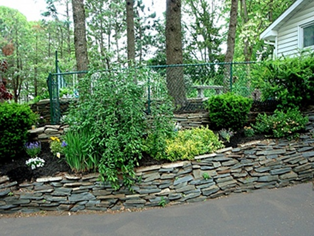 Driveway Planting